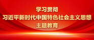 操逼视频免费下载丝袜脚操逼学习贯彻习近平新时代中国特色社会主义思想主题教育_fororder_ad-371X160(2)